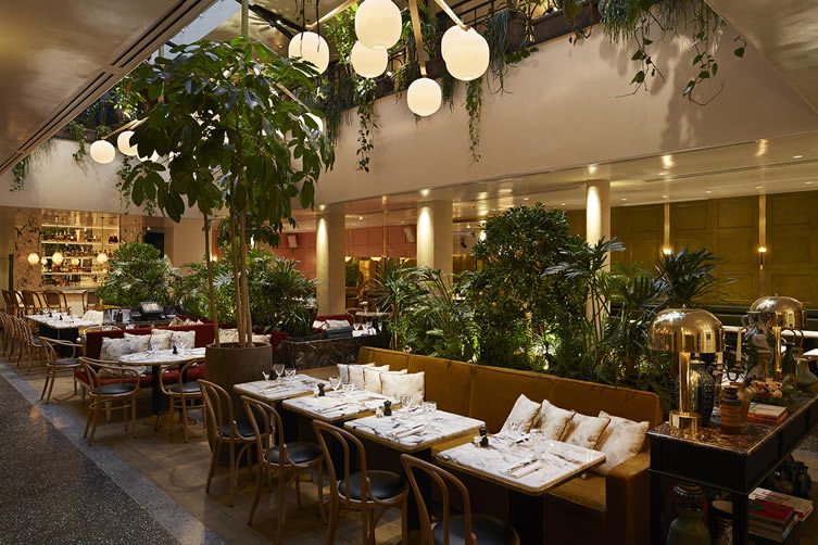 interior improvement for aesthetic restaurant