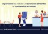 Por qué debería considerar agregar quioscos de autoservicio a su restaurante de comida rápida Por qué debería considerar agregar quioscos de autoservicio a su restaurante de comida rápida.