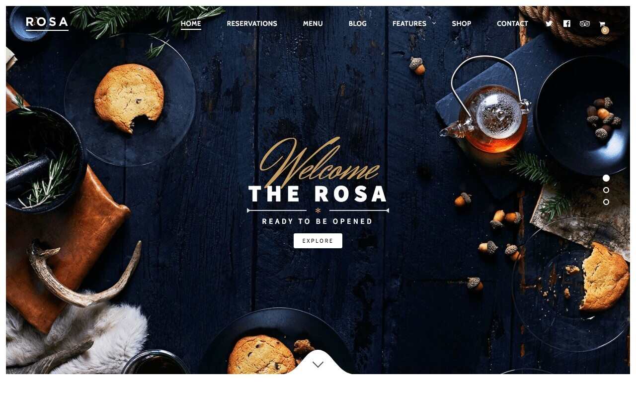Digital marketing via websites